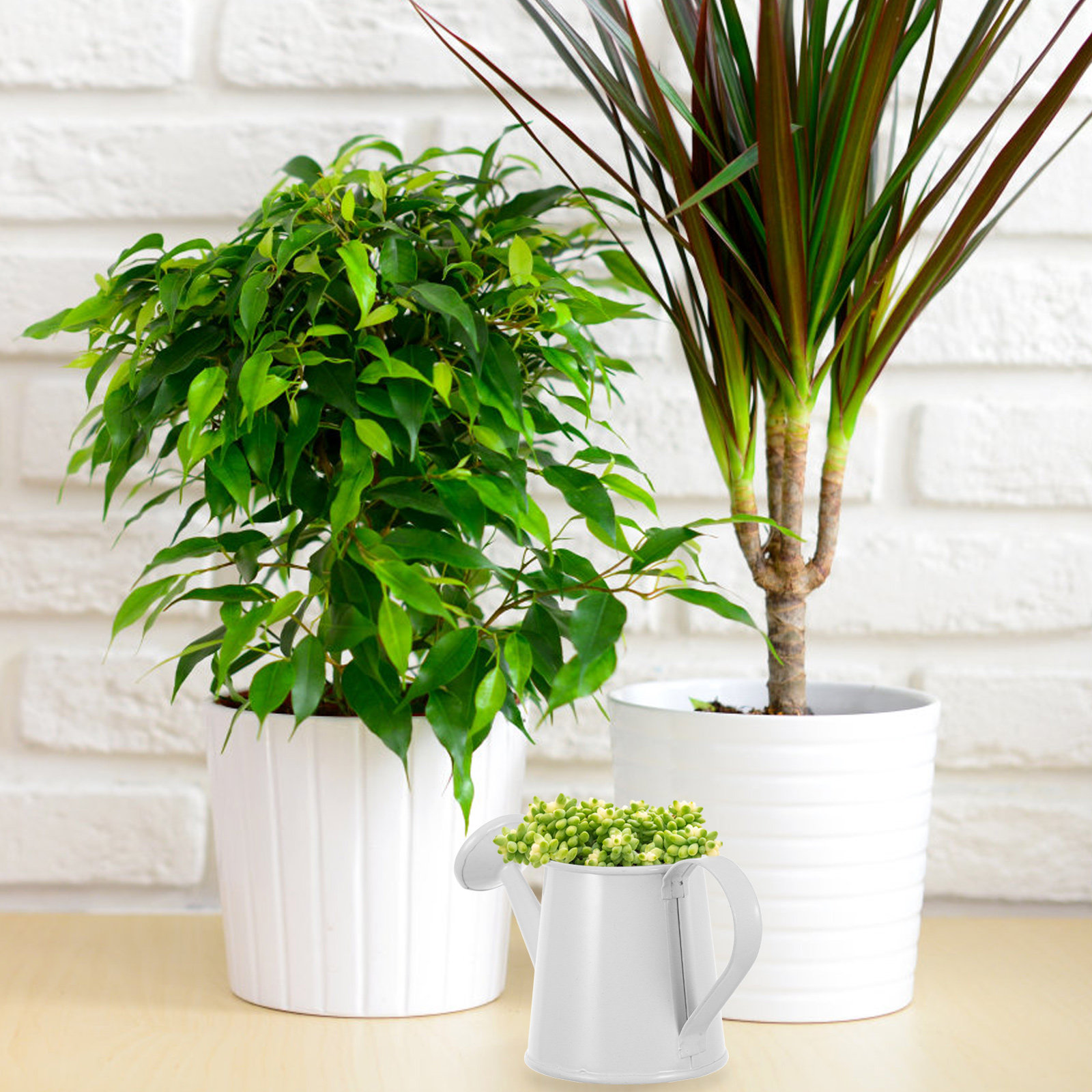 Arrosoir miniature en fer pour - Home Office Bookshelves avis et prix