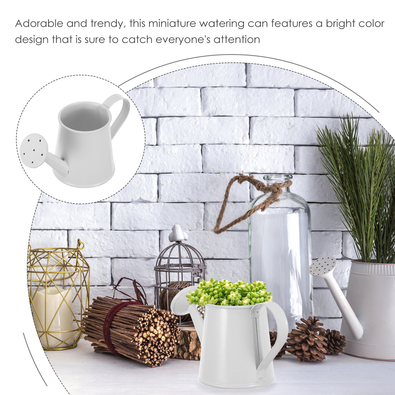 Arrosoir miniature en fer pour - Home Office Bookshelves avis et prix
